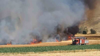 Kütahya’nın Altıntaş ilçesinde çıkan tarla yangınında, yaklaşık 800 dekar hububat