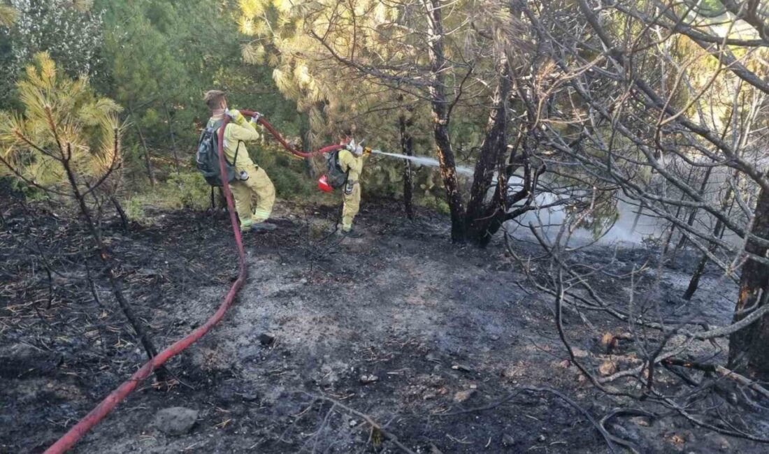 Kütahya İl Milli Eğitim Müdürlüğü, ülkenin farklı bölgelerinde çıkan yangınlarla