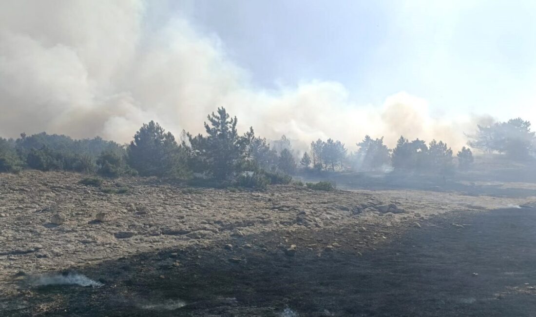 Kütahya’nın Sofça köyü yakınlarında çıkan orman yangını, ekiplerin hızlı ve