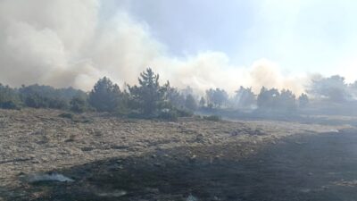 Kütahya’nın Sofça köyü yakınlarında çıkan orman yangını, ekiplerin hızlı ve