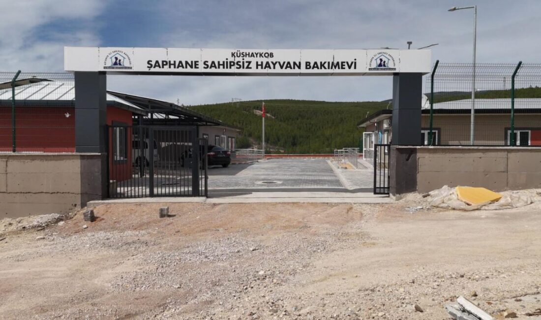 Oğuzhan KILIÇ/KÜTAHYA, – KÜTAHYA’da sahipsiz sokak hayvanları için projelendirilen 4