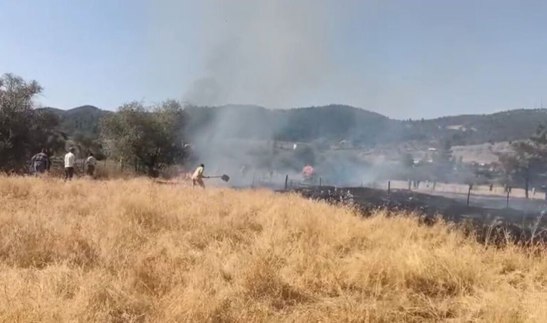 Kütahya’nın Tavşanlı ilçesine bağlı Balıköy beldesinde otluk alanda çıkan yangın,