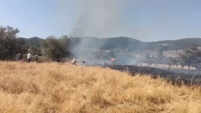 Kütahya’nın Tavşanlı ilçesine bağlı Balıköy beldesinde otluk alanda çıkan yangın,
