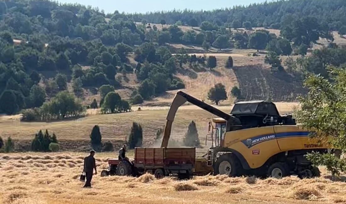 Kütahya’nın Tavşanlı ilçesine bağlı Göbel köyünde harman mevsimi yoğun bir