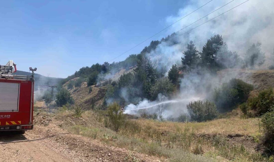 Kütahya’nın Tavşanlı ilçesine bağlı Tunçbilek beldesi Gürağaç mahallesi yakınlarında çıkan