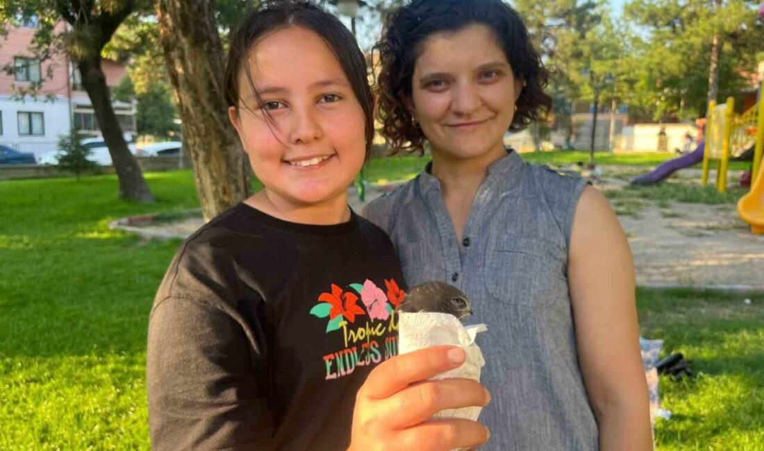 Kütahya’nın Tavşanlı ilçesinde doğasever vatandaşlar, yaralı halde buldukları ebabil kuşuna