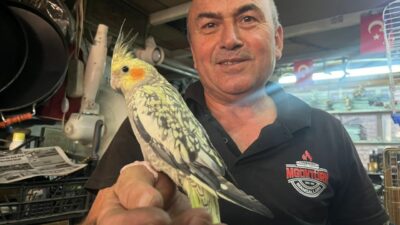 Tuna İŞLEYEN/TAVŞANLI (Kütahya), – KÜTAHYA’nın Tavşanlı ilçesinde soba ve mangal