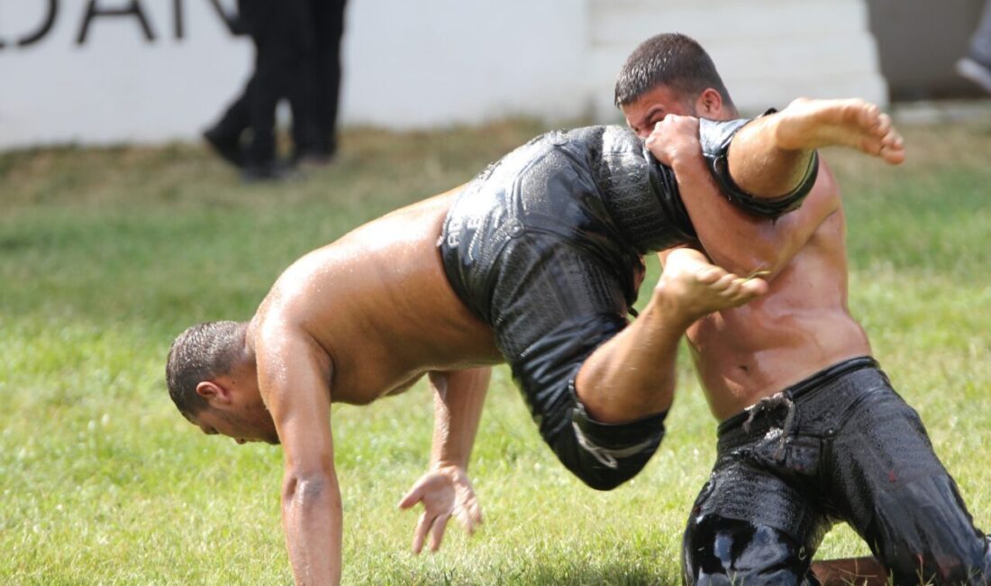 Mustafa YİĞİT/ DOMANİÇ(Kütahya), – KÜTAHYA’nın Domaniç ilçesinde bu yıl 664’üncüsü