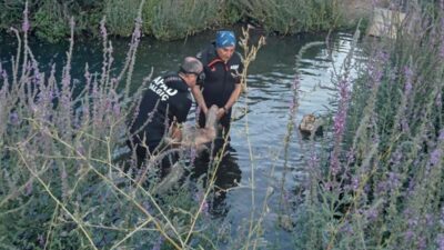 Oğuzhan KILIÇ/KÜTAHYA, – KÜTAHYA’da serinlemek için akarsuya giren Fahrettin Çerçi