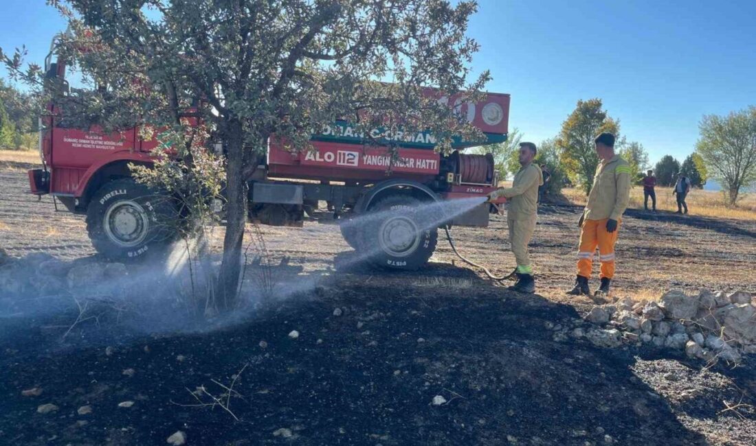 Kütahya’nın Domaniç ilçesi Çukurca beldesi Selim Dede mevkiinde çıkan anız