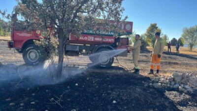 Kütahya’nın Domaniç ilçesi Çukurca beldesi Selim Dede mevkiinde çıkan anız