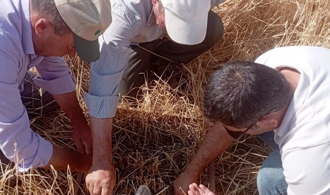 Kütahya’nın Aslanapa ilçesinde meydana gelen dolu ve sel afetinden etkilenen