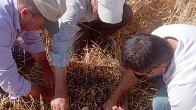 Kütahya’nın Aslanapa ilçesinde meydana gelen dolu ve sel afetinden etkilenen