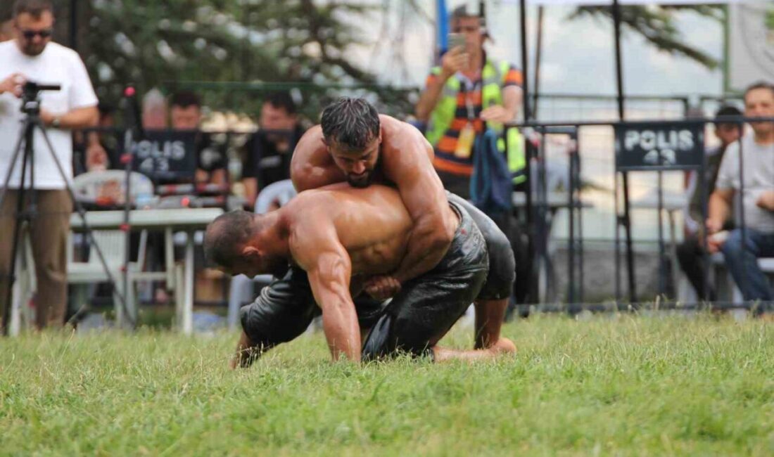 Kütahya’nın Domaniç ilçesinde düzenlenen 664. Tarihi Yağlı Pehlivan Güreşleri, renkli