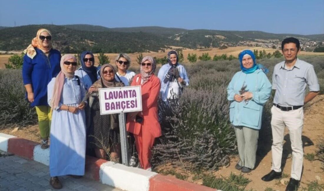 Kütahya’nın Tavşanlı ilçesinde faaliyet gösteren Dost Kalpler Derneği üyeleri, Dumlupınar