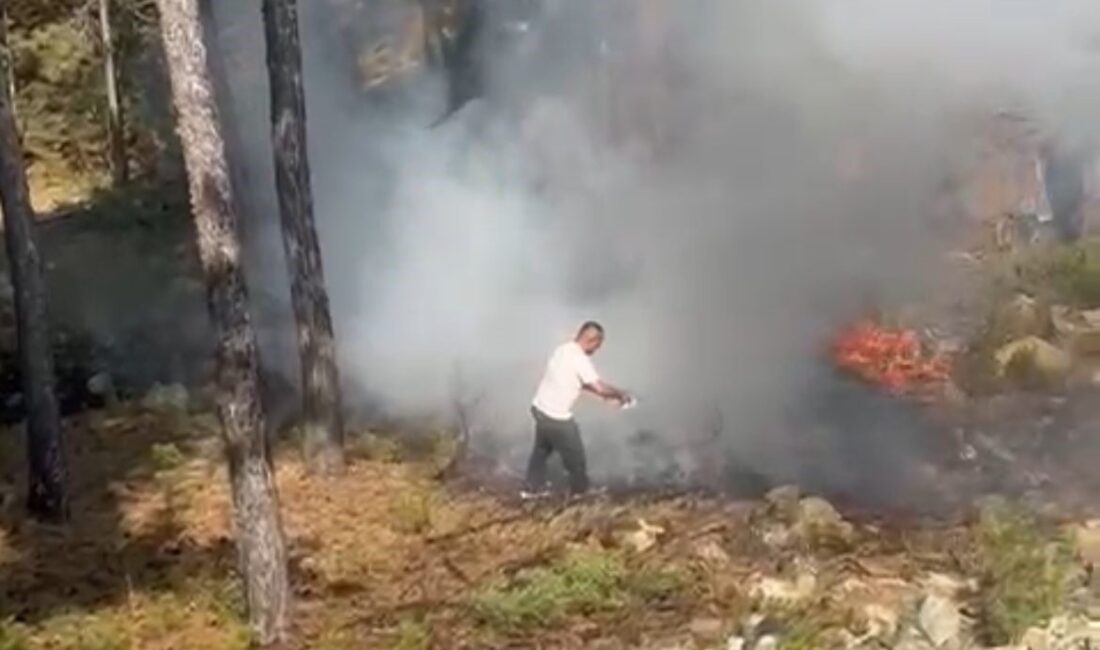 Bursa’nın Harmancık ilçesi yakınlarında geçtiğimiz günlerde çıkan ve dört gün