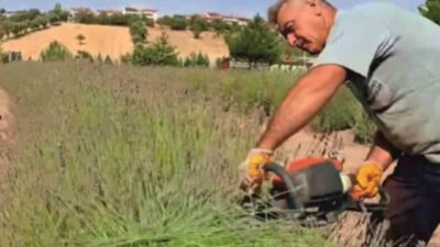 Kütahya’nın Gediz ilçesinde bulunan Adnan Menderes Yaşam Parkı’ndaki lavanta bahçesinde