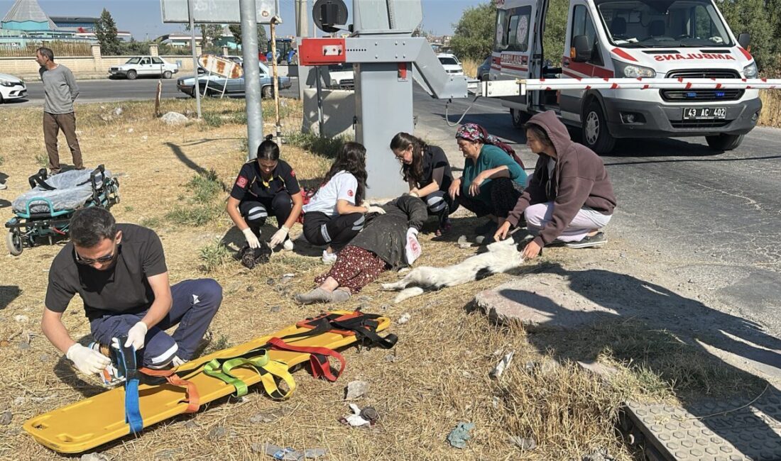 Oğuzhan KILIÇ/KÜTAHYA, – KÜTAHYA’da hemzemin geçitten karşıya geçmeye çalışan Sultan