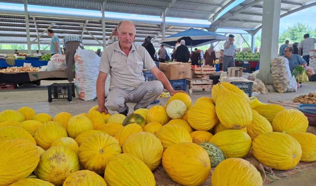 Kütahya’nın Hisarcık ilçesi semt pazarında yerli kavun kilosu 20 liradan