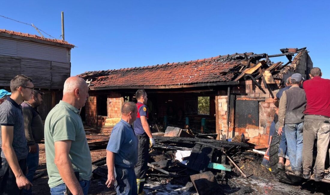 Mustafa YİĞİT/DOMANİÇ (KÜTAHYA), – KÜTAHYA’nın Domaniç ilçesinde hızar atölyesinde çıkan