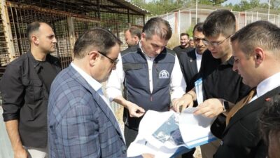 Kütahya Valisi Musa Işın, sahipsiz hayvanlara yönelik hizmetlerin aynı zamanda