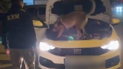 Kütahya’da polis ekipleri tarafından düzenlenen operasyonda 3,5 kilo kokain ele