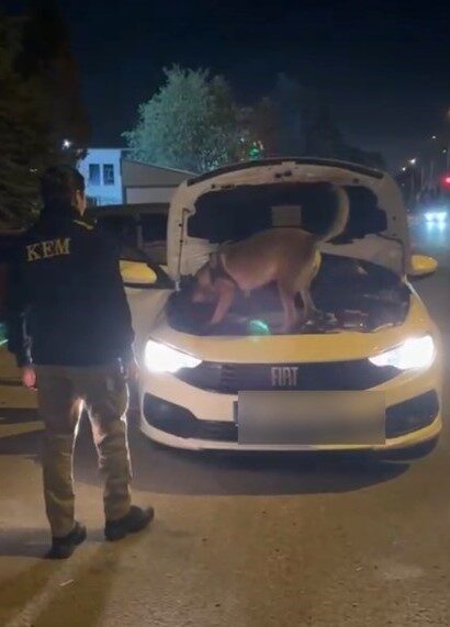 Kütahya’da polis ekipleri tarafından düzenlenen operasyonda 3,5 kilo kokain ele