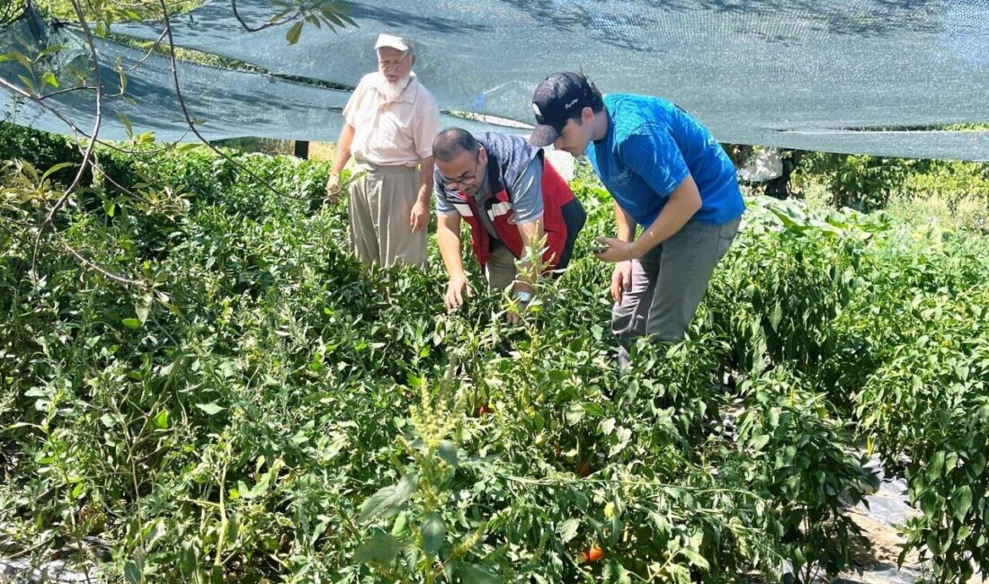 Kütahya’da Tarım Arazilerinin Kullanımının Etkinleştirilmesi (TAKE) projesi çerçevesinde temin edilen