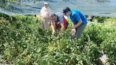 Kütahya’da Tarım Arazilerinin Kullanımının Etkinleştirilmesi (TAKE) projesi çerçevesinde temin edilen