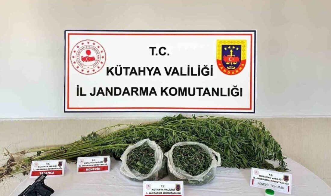 Kütahya İl Jandarma Komutanlığı ekipleri, uyuşturucu suçlarıyla mücadele kapsamında yürüttükleri