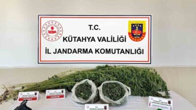 Kütahya İl Jandarma Komutanlığı ekipleri, uyuşturucu suçlarıyla mücadele kapsamında yürüttükleri