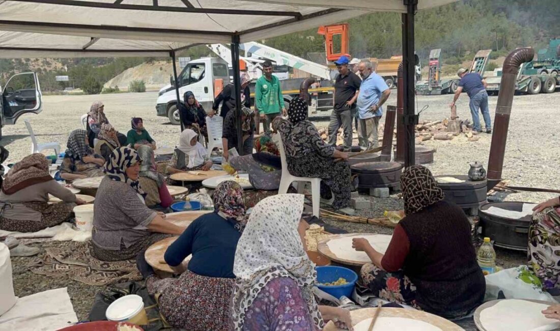 Kütahya-Bursa kara yolu üzerinde bir araya gelen kadınlar, orman yangınının