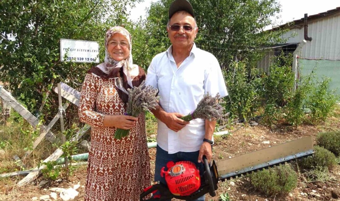 Kütahya’da İsmail-Emine Daşgın çiftinin, merkeze bağlı Aloğlu köyündeki arazisine hobi