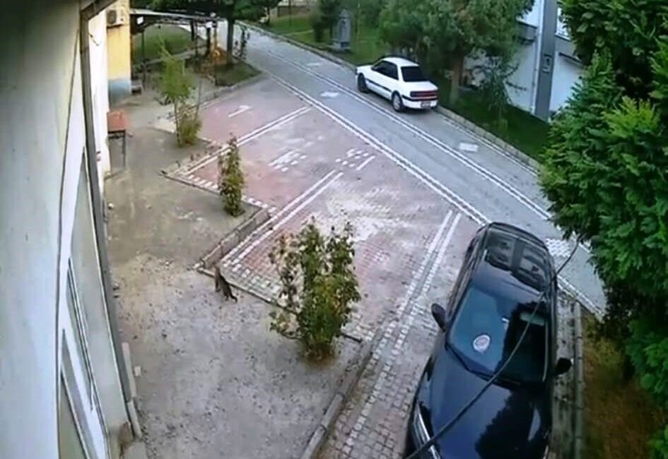 Balıkesir’in Sındırgı ilçesinde meydana gelen ve Kütahya’nın Hisarcık ilçesinde de