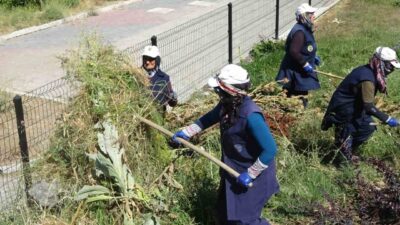 Kütahya’nın Tavşanlı ilçesinde, kavurucu sıcaklara rağmen ekmek parası için çalışan