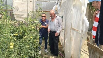 Tavşanlı İlçe Tarım ve Orman Müdürlüğünce seralarda bitki hastalık ve