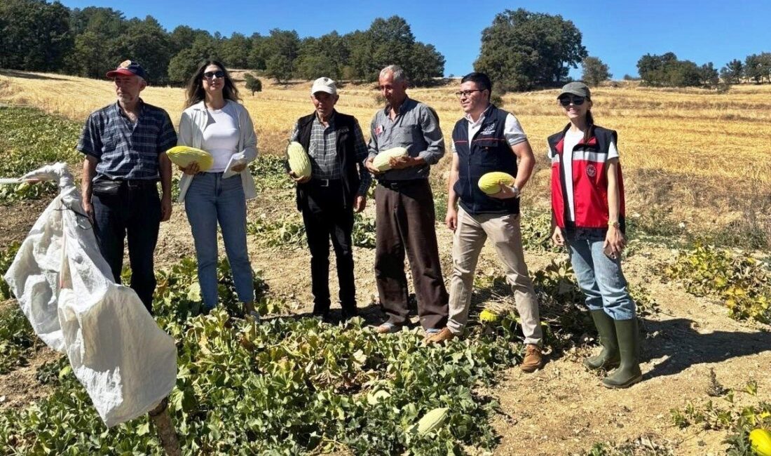 Kütahya’nın Emet ilçesi Göncek köyü’nde “Organik Göncek Kavunu” projesi çerçevesinde