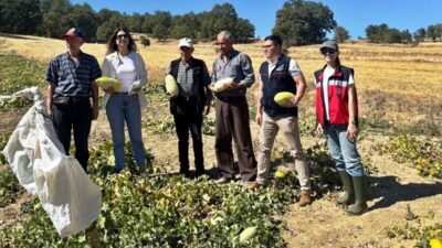 Kütahya’nın Emet ilçesi Göncek köyü’nde “Organik Göncek Kavunu” projesi çerçevesinde