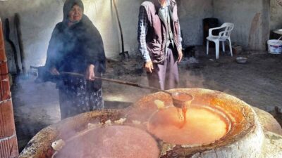 Emet İlçe Tarım ve Orman Müdürlüğü teknik personelleri tarafından, “Yağcık