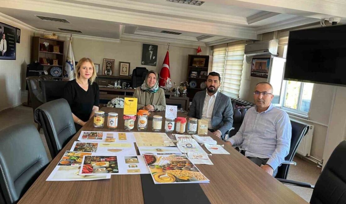 Kütahya Dumlupınar Üniversitesi Gediz Meslek Yüksekokulu (DPÜ Gediz MYO) Grafik