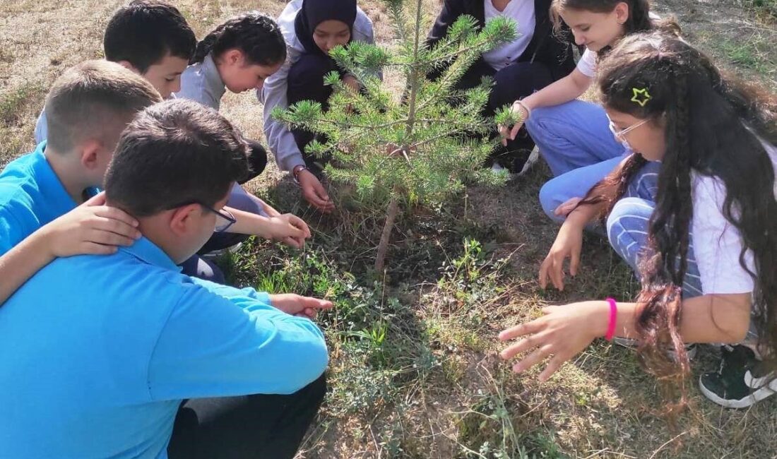 Hisarcık Anadolu İmam Hatip Lisesinde (AİHL) “Her çocuğumuz bir fidan,