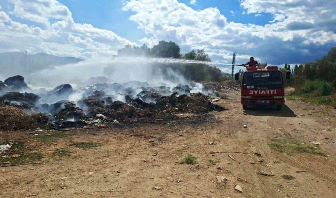 Kütahya’nın Hisarcık İlçesi’nde çöplüğe dönen çay kenarında gece çıkan ve