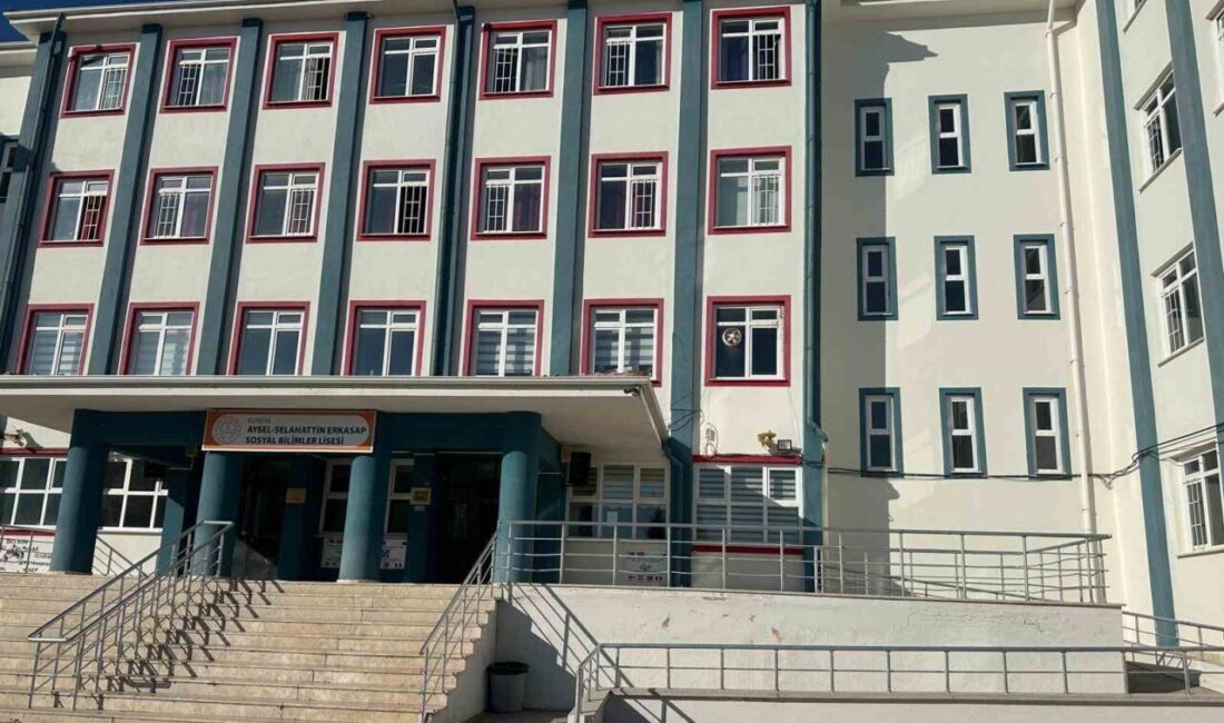 Kütahya Aysel-Selahattin Erkasap Sosyal Bilimler Lisesinin, e-Twinning kapsamında biri kurucusu,