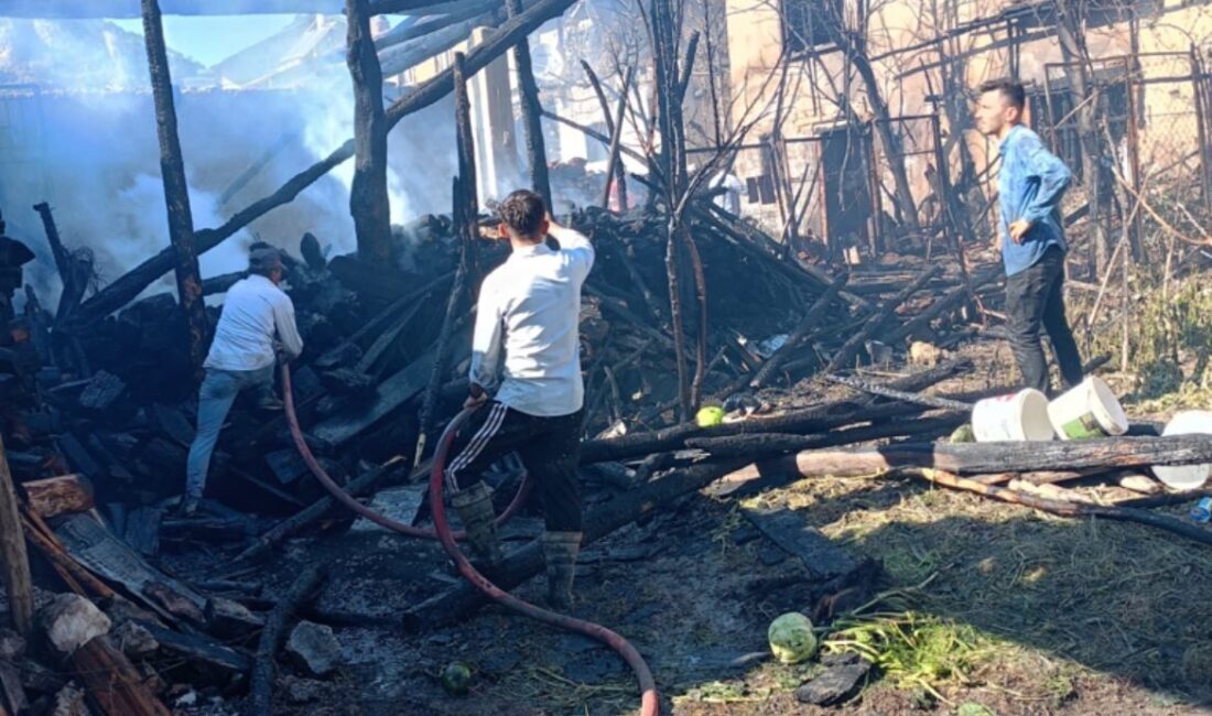 Kütahya’nın Tavşanlı ilçesine bağlı Akşehir köyünde park halindeki bir otomobilde