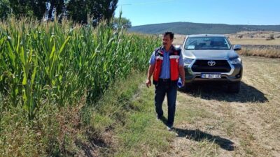 Kütahya İl Tarım ve Orman Müdürlüğü personeli tarafından silajlık mısır