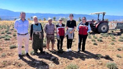 Kütahya İl Tarım ve Orman Müdürlüğünce ahududu, tıbbi adaçayı, çilek