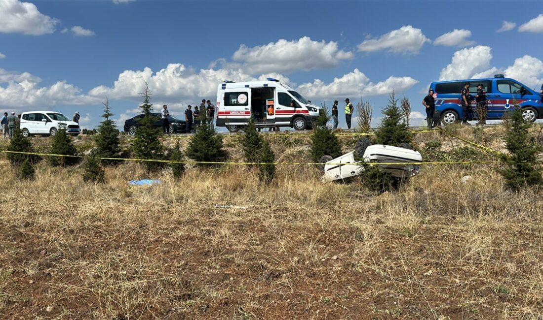 Oğuzhan KILIÇ/KÜTAHYA, – KÜTAHYA’nın Aslanapa ilçesinde sürücünün kontrolü kaybetmesi sonucu