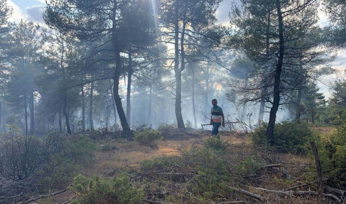 Tuna İŞLEYEN/TAVŞANLI (Kütahya), – KÜTAHYA’nın Tavşanlı ilçesinde yıldırım düşen ormanda