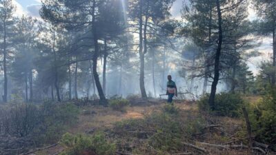 Tuna İŞLEYEN/TAVŞANLI (Kütahya), – KÜTAHYA’nın Tavşanlı ilçesinde yıldırım düşen ormanda