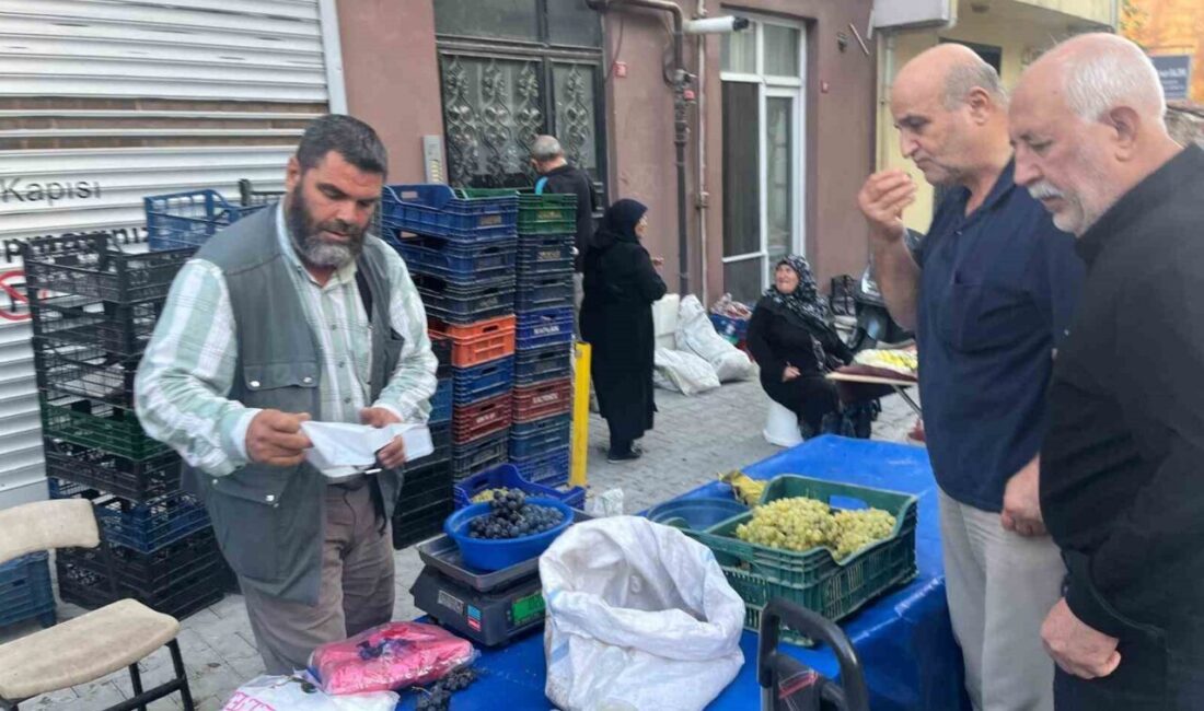 Kütahya’nın Tavşanlı ilçesine Alaşehir’den getirilen üzümler satışa sunuldu. Türkiye’nin üzüm